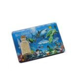 Custom Creative Fridge Magnet with Drift Bottle – DIY Travel Souvenir - Image 7